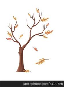 Isolated Oak Tree with Falling Leaves. Isolated oak tree with falling leaves. Tree forest, leaf tree isolated, tree branch, plant eco branch tree, organic natural wood illustration. Falling autumn leaves. Oak icon. Vector illustration.