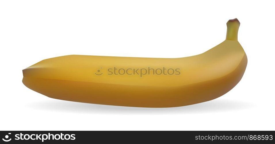 Isolated on white background yellow banana, vector. Isolated on white background yellow banana
