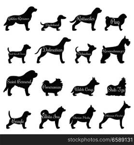 Isolated purebred dogs profile silhouette icon set with golden retriever pug beagle jack Russell terrier and other breeds vector illustration. Dogs Profile Silhouette Icon Set