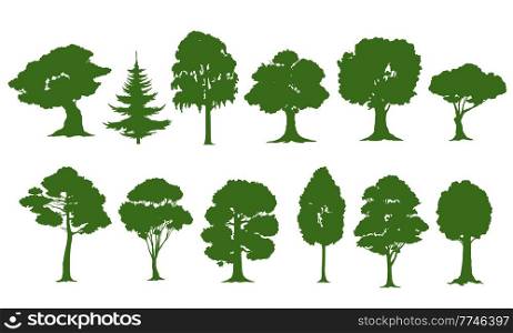 Isolated tree silhouettes, vector forest or garden green trees. Oak, pine, spruce fir or birch, willow and maple, nature woods with leaves and bushes, tall ash or poplar tree with branches. Isolated tree silhouettes, forest and garden trees