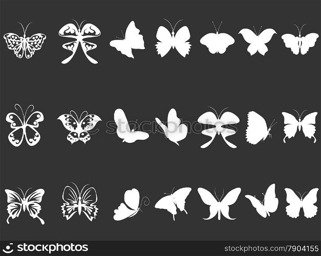 isolated white butterfly silhouettes from black background