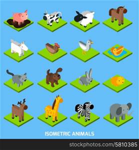 Isometric animals set with 3d hamster pig sheep and rabbit isometric vector illustration. Isometric Animals Set