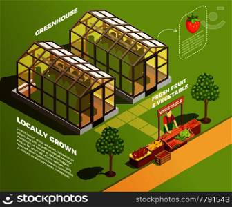 Isometric farm background with two glass greenhouses for locally growing organic vegetables and fruits vector illustration . Isometric Farm Background