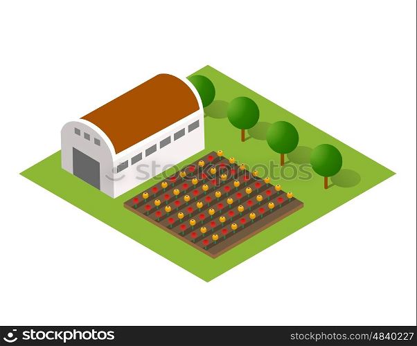 Isometric farm with the houses. The three-dimensional top view of a rural landscape with nature and with the town. rural landscape with nature