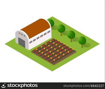 Isometric farm with the houses. The three-dimensional top view of a rural landscape with nature and with the town. rural landscape with nature