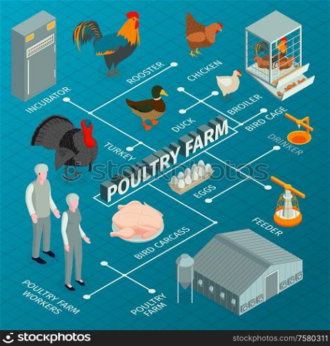 Isometric poultry farm flowchart composition with images of farm animals with worker characters feeders and incubators vector illustration