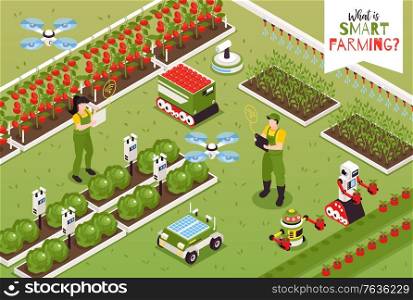 Isometric smart farm composition with outdoor scenery and flying drones with gardening robots and human characters vector illustration