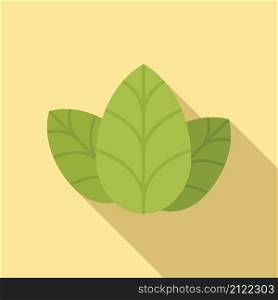 Italian basil icon flat vector. Herb leaf. Spice plant. Italian basil icon flat vector. Herb leaf