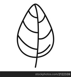 Italian basil icon outline vector. Herb leaf. Spice plant. Italian basil icon outline vector. Herb leaf