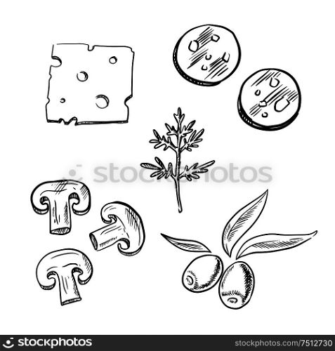 Italian pizza topping ingredients sketch icons with slices of cheese, salami sausage, mushroom, olive fruits and fresh dill. Cheese, sausage, mushroom and olive fruits