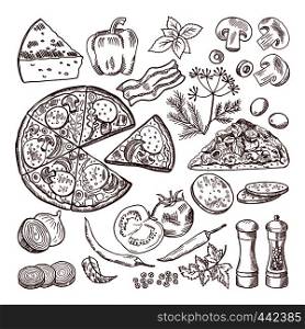Italian pizza with different ingredients. Vector doodle set pizza and cheese, tomato vegetable and ingredient illustration. Italian pizza with different ingredients. Vector doodle set