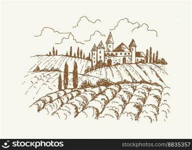 Italian vineyard landscape sketch vintage vector image