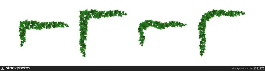 Ivy corners, climbing vine with green leaves of creeper plant for border or frame decoration. Hedera branch hanging on garden wall, isolated on white background. Realistic 3d vector illustration, set. Ivy corners, climbing vine with green leaves set