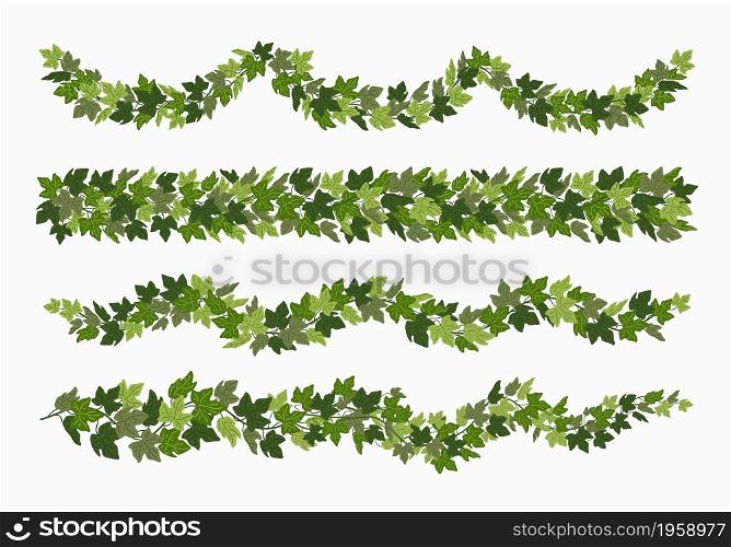 Ivy festoons and borders, green creeper decorative dividers isolated on white background. Vector illustration in flat cartoon style. Ivy festoons and borders, green creeper decorative dividers isolated on white background. Vector illustration in flat cartoon style.