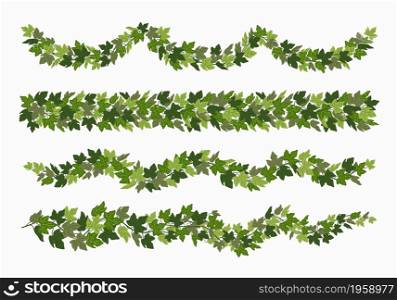 Ivy festoons and borders, green creeper decorative dividers isolated on white background. Vector illustration in flat cartoon style. Ivy festoons and borders, green creeper decorative dividers isolated on white background. Vector illustration in flat cartoon style.