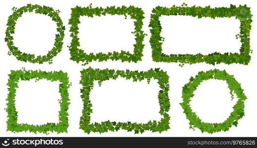 Ivy frames, green leaves on lianas and jungle tropical vine borders, vector forest plants. Jungle liana creeper green thicket frame sign frames, square and round borders of tropical ivy branches. Ivy frames, green leaves on lianas, jungle vines