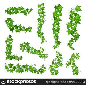 Ivy green leaves. Vine creepers, floral wall branches with foliage. Isolated growing plants, hanging flora design. Natural garden or forest exact vector set. Illustration of ivy plant green. Ivy green leaves. Vine creepers, floral wall branches with foliage. Isolated growing plants, hanging flora design. Natural garden or forest exact vector set