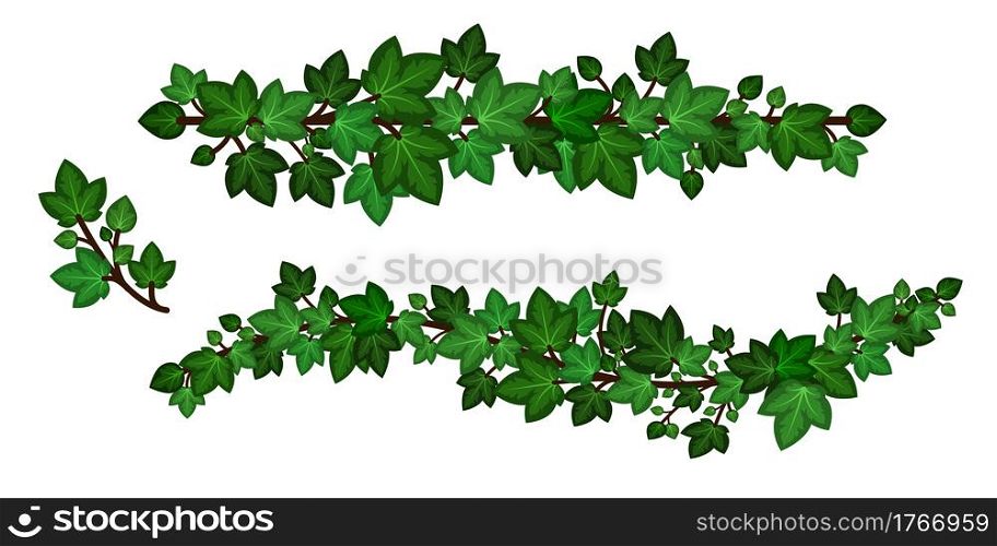 Ivy leaves wreath liana. Green ivy garlands, set of curled branches isolated on white background. Decorative design element in cartoon style. Vector illustration