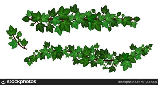 Ivy leaves wreath liana. Green ivy garlands, set of curled branches isolated on white background. Decorative design element in cartoon style. Vector illustration