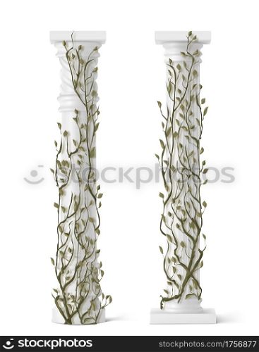 Ivy on marble column, vines with green leaves climbing on antique stone pillars, creeper plant isolated on white background, decorative architecture design elements, Realistic 3d vector illustration. Ivy on marble column, vines with green leaves