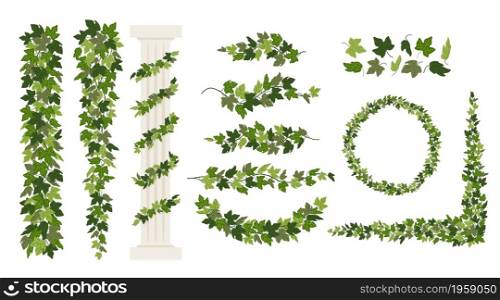 Ivy vines and wreaths, and a greek antique column entwined with ivy, elements isolated on white background. Vector illustration in flat cartoon style.. Ivy vines and wreaths, and a greek antique column entwined with ivy, elements isolated on white background. Vector illustration in flat cartoon style