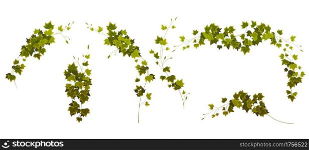 Ivy vines corners and borders, creepers branches with foliage isolated on white background. Vector realistic set of hanging greenery, climbing plants with green leaves. Ivy vines corners and borders, creepers branches