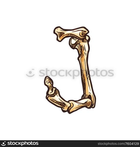J letter of dead person bones isolated scary alphabet symbol. Vector Halloween font, j sign. Letter J sign of bones isolated scary ABC symbol