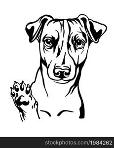 Jack russel terrier dog black contour portrait. Dog head in front view vector illustration isolated on white. For decor, design, print, poster, postcard, sticker, t-shirt,cricut, tattoo and embroidery. Jack russel terrier dog vector black contour portrait vector