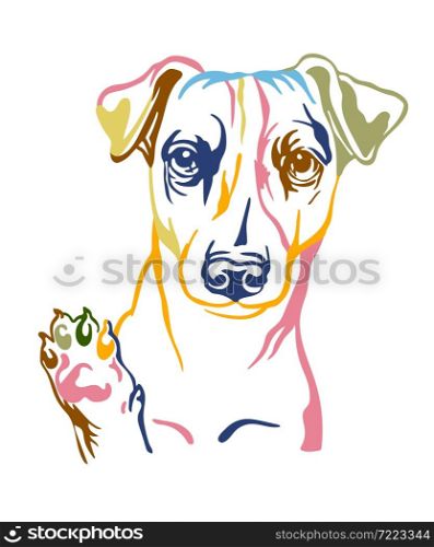 Jack russel terrier dog color contour portrait. Dog head in front view vector illustration isolated on white. For decor, design, print, poster, postcard, sticker, t-shirt,cricut, tattoo and embroidery. Jack russel terrier dog vector color contour portrait vector