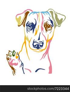 Jack russel terrier dog color contour portrait. Dog head in front view vector illustration isolated on white. For decor, design, print, poster, postcard, sticker, t-shirt,cricut, tattoo and embroidery. Jack russel terrier dog vector color contour portrait vector