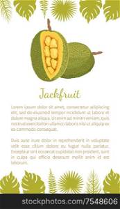 Jackfruit exotic juicy stone fruit vector poster text sample and palm leaves. Jack tree, fenne, jakfruit or jak. Fig, mulberry tropical edible food. Jackfruit Exotic Juicy Stone Fruit Vector Poster