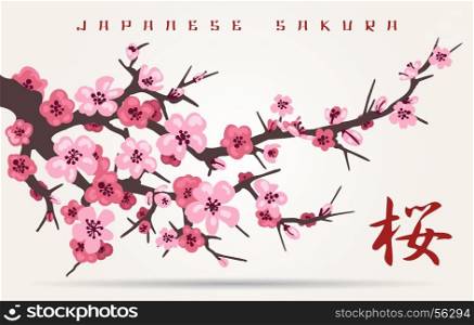 Japan cherry blossom tree branch. Japan cherry blossom branching tree vector illustration. Japanese invitation card with asian blossoming plum branch
