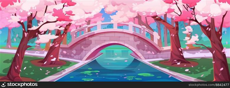 Japanese cherry garden with bridge and sakura blossom. Spring landscape of park with stone bridge over river or brook, chinese cherry trees with pink flowers, vector cartoon illustration. Japanese cherry garden, bridge and sakura blossom