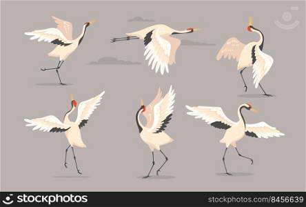 Japanese crane set. White oriental heron or stork, bird flying, dancing or walking with spread wings isolated on grey. Vector illustration for nature, wildlife, wild animal concept