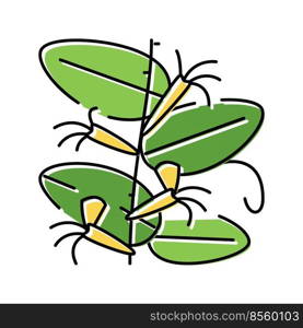 japanese honeysuckle color icon vector. japanese honeysuckle sign. isolated symbol illustration. japanese honeysuckle color icon vector illustration