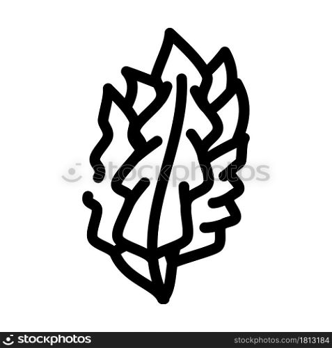 japanese kelp seaweed line icon vector. japanese kelp seaweed sign. isolated contour symbol black illustration. japanese kelp seaweed line icon vector illustration