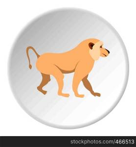 Japanese macaque icon in flat circle isolated on white background vector illustration for web. Japanese macaque icon circle