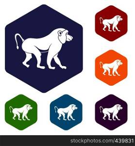 Japanese macaque icons set hexagon isolated vector illustration. Japanese macaque icons set hexagon