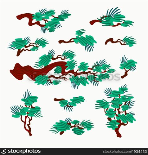 Japanese pine tree, vector Mountain pine and pine branches in oriental style background vector. Organic flat style vector illustration on white background. Japanese pine tree. Organic flat style vector illustration on white background.