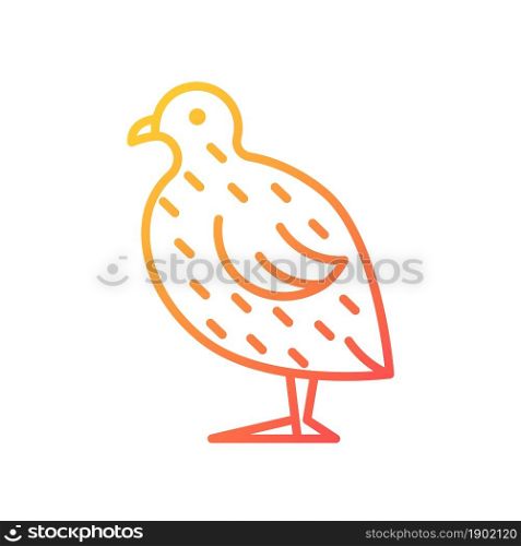 Japanese quail gradient linear vector icon. Coturnix japonica. Domestic bird. Quails farming for meat and eggs. Thin line color symbol. Modern style pictogram. Vector isolated outline drawing. Japanese quail gradient linear vector icon