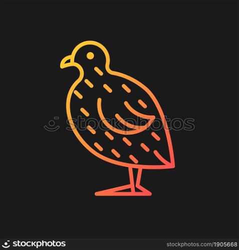 Japanese quail gradient vector icon for dark theme. Coturnix japonica. Domestic bird. Commercial poultry farming. Thin line color symbol. Modern style pictogram. Vector isolated outline drawing. Japanese quail gradient vector icon for dark theme