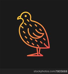 Japanese quail gradient vector icon for dark theme. Coturnix japonica. Domestic bird. Commercial poultry farming. Thin line color symbol. Modern style pictogram. Vector isolated outline drawing. Japanese quail gradient vector icon for dark theme