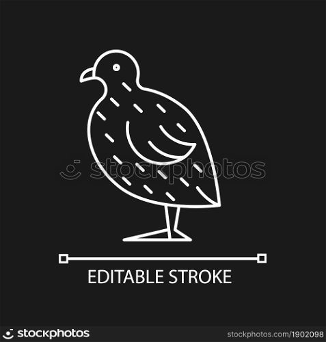Japanese quail linear icon for dark theme. Coturnix japonica. Commercial poultry farming. Thin line customizable illustration. Isolated vector contour symbol for night mode. Editable stroke. Japanese quail linear icon for dark theme