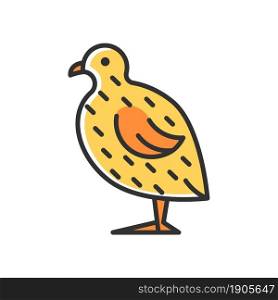 Japanese quail RGB color icon. Coturnix japonica. Domestic bird. Commercial poultry farming. Quails farming for meat and eggs. Isolated vector illustration. Simple filled line drawing. Japanese quail RGB color icon