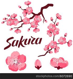 Japanese sakura set of branches and stylized flowers. Objects for decoration, design on advertising booklets, banners, flayers.