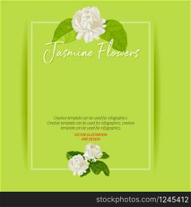 Jasmine flowers with background template for advertising, vector illustration and design.
