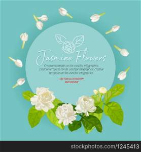 Jasmine flowers with background template for advertising, vector illustration and design.