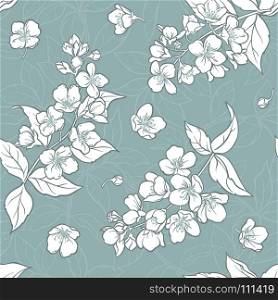 jasmine seamless pattern. jasmine flowers color vector seamless pattern on blue background