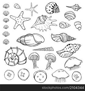 Jellyfish and seashells. Vector sketch illustration.