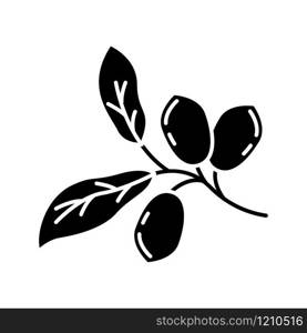 Jojoba black glyph icon. Exotic fruits. Botany. Miracle fruit. Brazilian plant. Cosmetic oil production. Silhouette symbol on white space. Vector isolated illustration